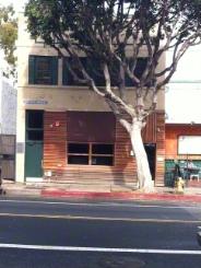 PainlessTriggerPoint 2941 Main Street Santa Monica